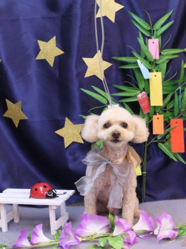 20230720もものすけくん